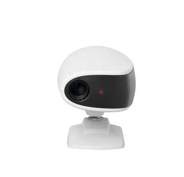 Auto chart projector