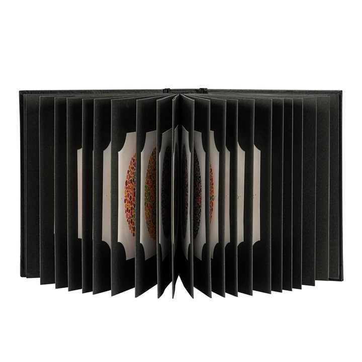 Rightway Brand  Ishihara Book 38 Plates Optometry Color Blindness Color Deficiency Test Book