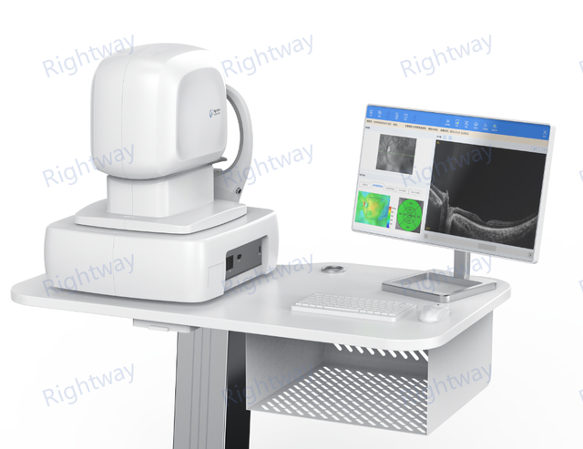 ophthalmic Optical coherence Tomography Posterior segment OCT
