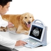 Rightway Optical | Leading Manufacturer of Ophthalmology & General Hospital Equipment