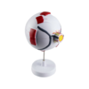Ophthalmic Eye Model EM-6 Medical Human Eye Ball Model 6x Magnified Eye Model EM-6