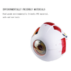Ophthalmic Eye Model EM-6 Medical Human Eye Ball Model 6x Magnified Eye Model EM-6