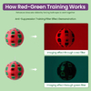 Marsden Ball Manual Training Ball Disinhibition Training Hand-eye-brain Coordination Perception Behavior Visual Training Ball