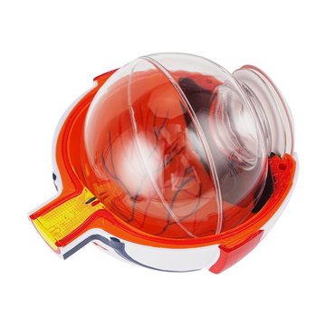 Anatomical Eye Model TB-01 for Ophthalmic Training and Demonstration Innovue Opto Brand Abs Material 1 Year Warranty