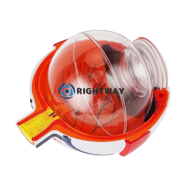 Anatomical Eye Model TB-01 for Ophthalmic Training and Demonstration Innovue Opto Brand Abs Material 1 Year Warranty
